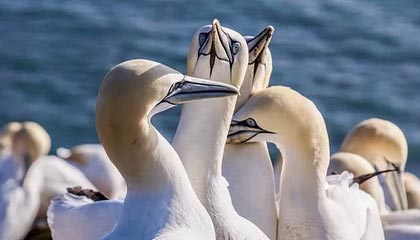 深圳市森倍科技有限责任公司成立 注册资本10万人民币