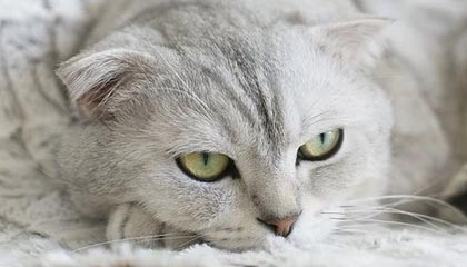 昆明倍净厨房设备有限公司成立 注册资本20万人民币