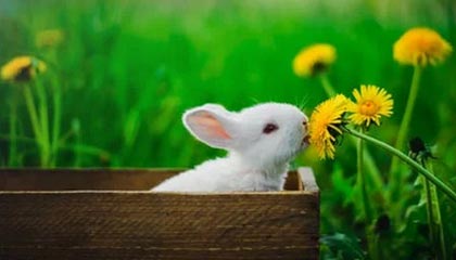 昆明倍净厨房设备有限公司成立 注册资本20万人民币