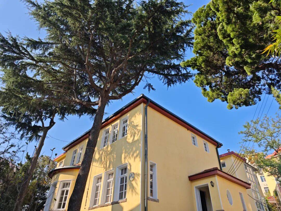 走完这两条线路,你就读懂了半个青岛!