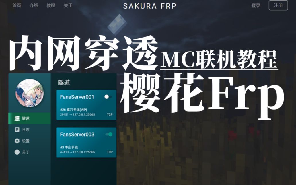 穿透软件的简单介绍