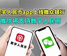 币付网(毕福剑事件)