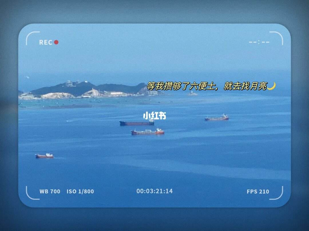 便士软件(便士是什么意思)