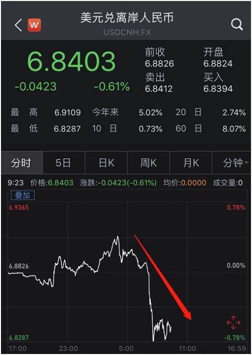 货币套期(货币套期保值理论)
