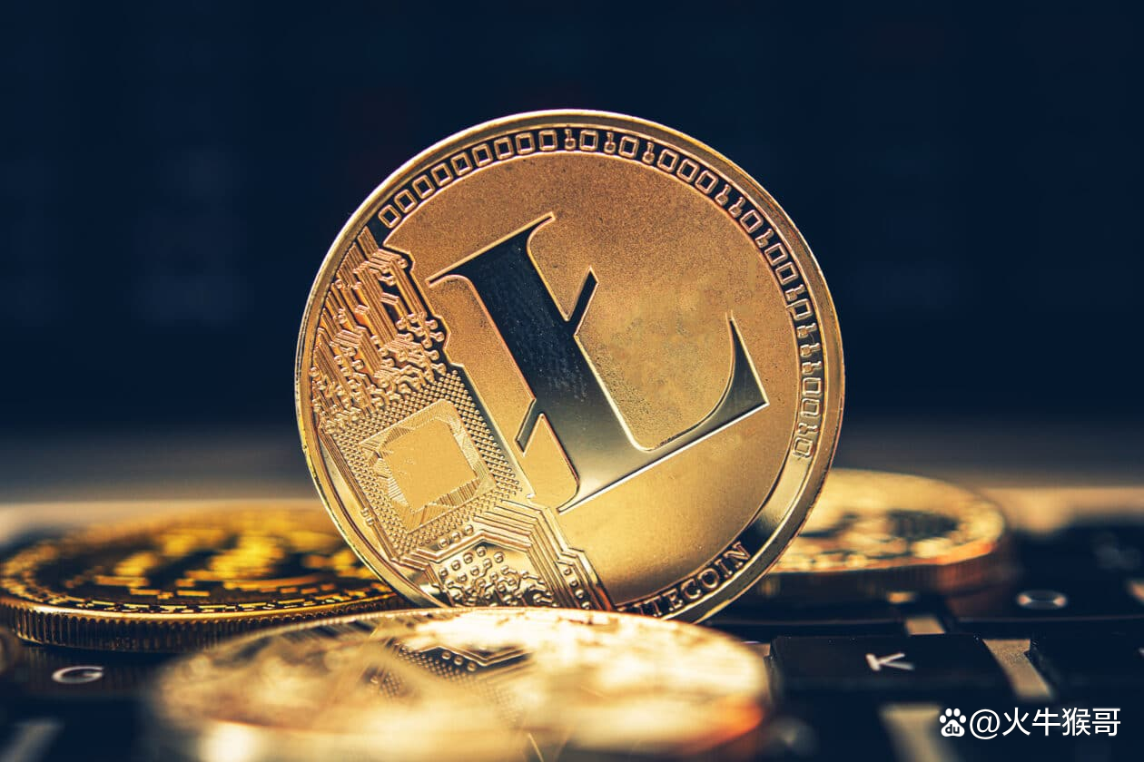 包含LTC-莱特币交易平台的词条