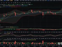 DOT-波卡币交易平台(正规usdt交易平台官网)
