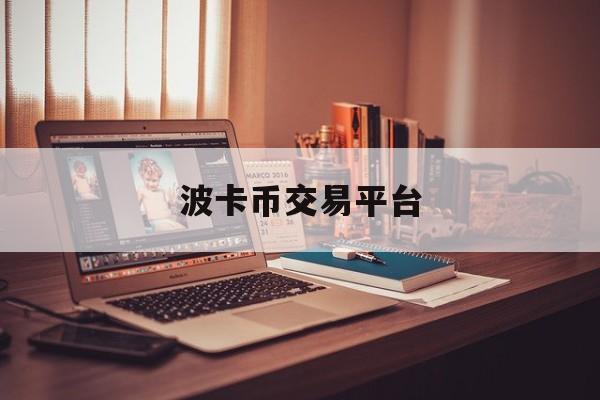 波卡币交易平台(虚拟货币交易平台)